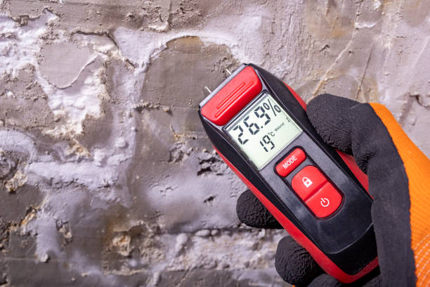 Best Mold Remediation  in Oroville, WA