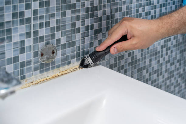 Best Mold Removal Company Near Me  in Oroville, WA